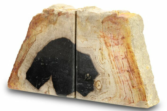 Petrified Wood (Tropical Hardwood) Bookends - Indonesia #266197